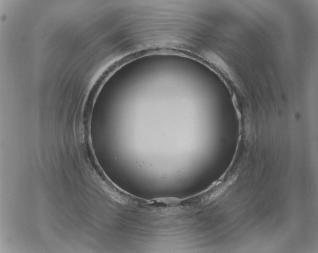 X0000069390924200605192210