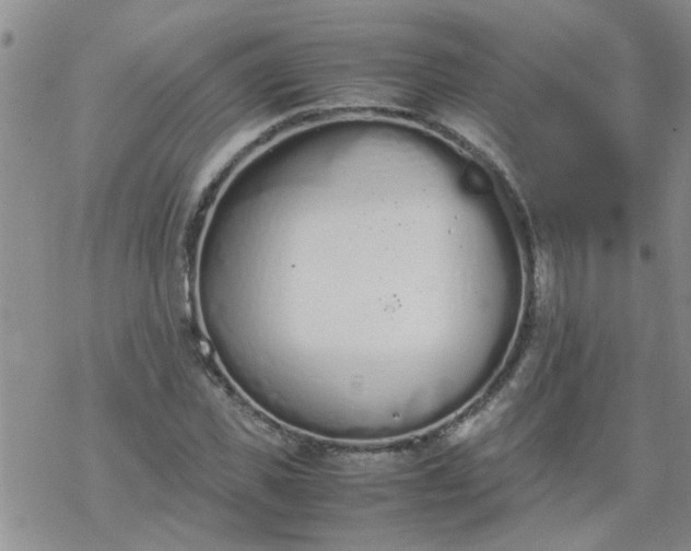 X0000069390925200605192210