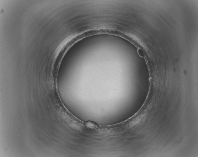 X0000069390927200605192210