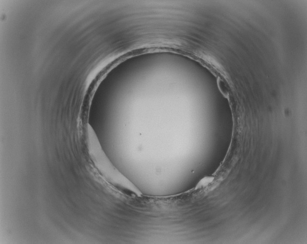 X0000069390928200605192210