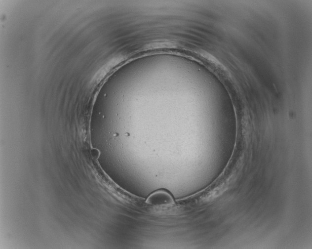 X0000069390929200605192210