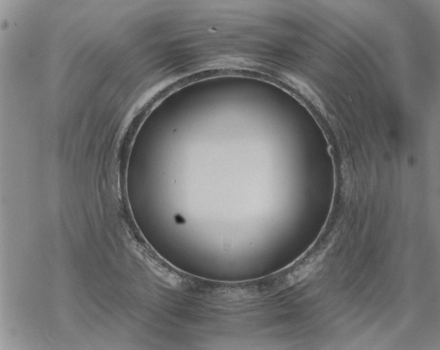 X0000069390931200605192210