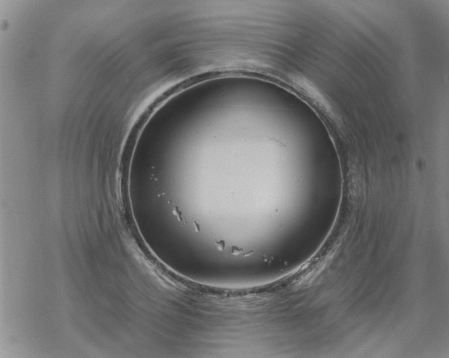 X0000069390932200605192210