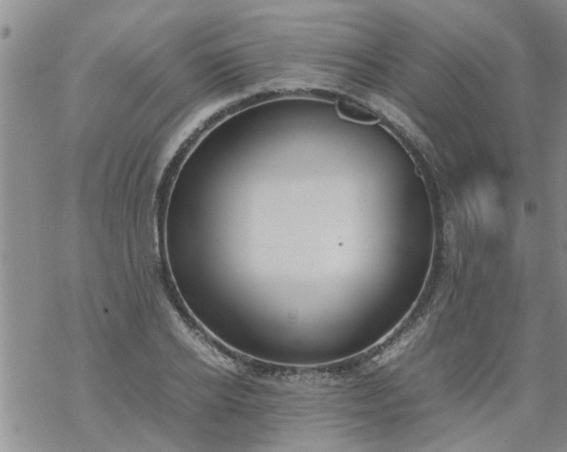 X0000069390934200605192210