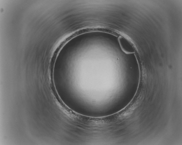 X0000069390935200605192210