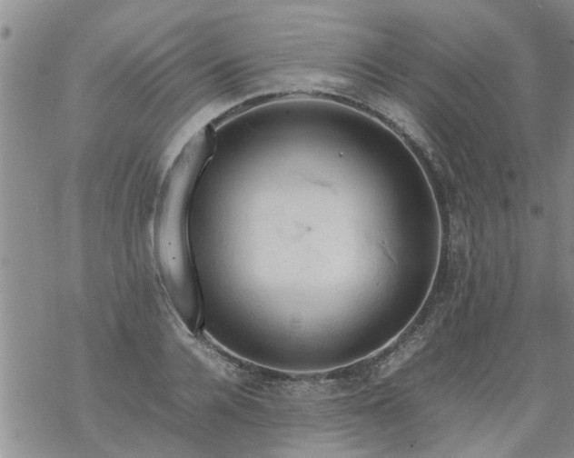 X0000069390936200605192210