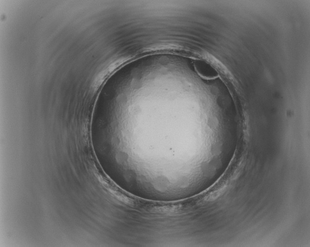 X0000069390937200605192210