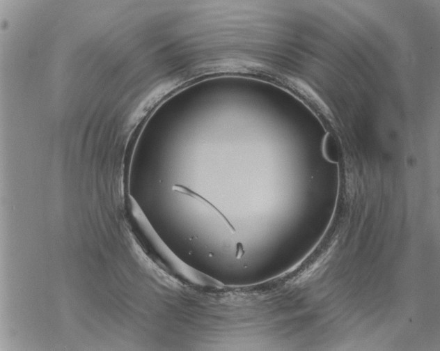 X0000069390938200605192210