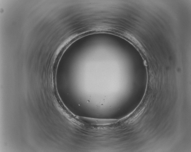 X0000069390939200605192210