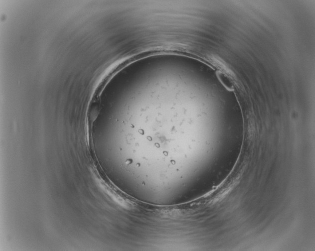 X0000069390940200605192210