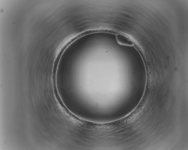 X0000069390943200605192210