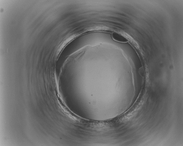 X0000069390945200605192210