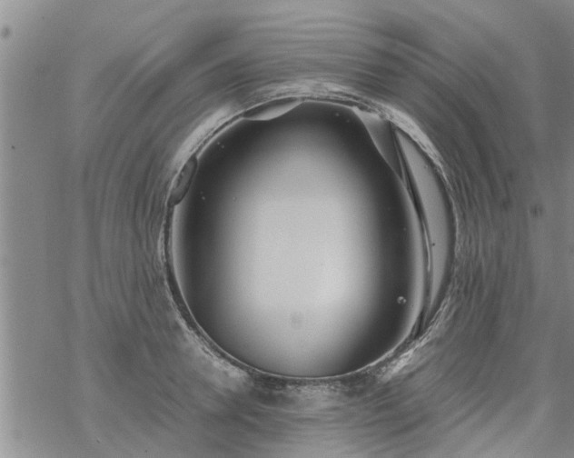 X0000069390946200605192210