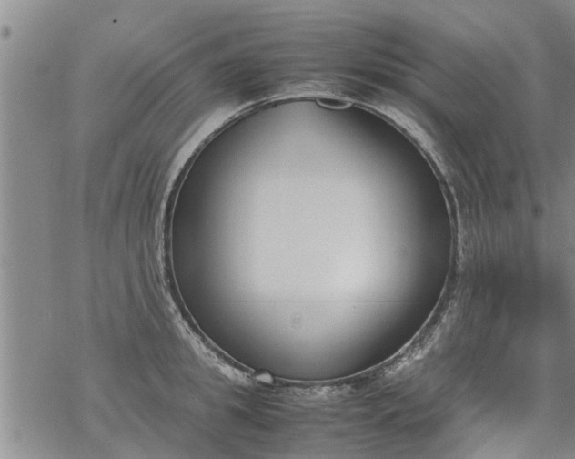 X0000069390949200605192210