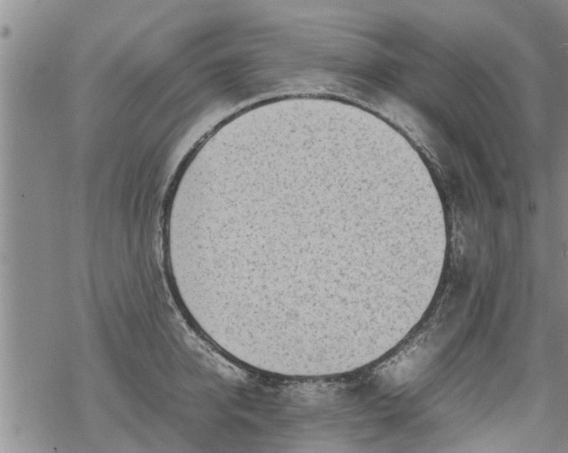 X0000069390950200605192210