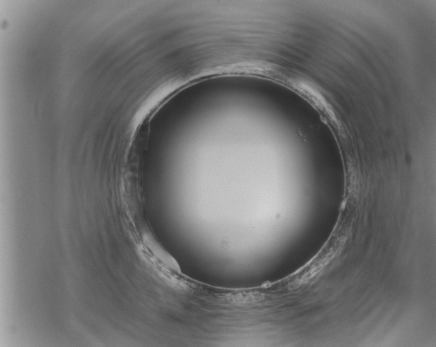 X0000069390952200605192210