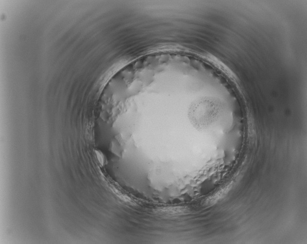 X0000069390953200605192210