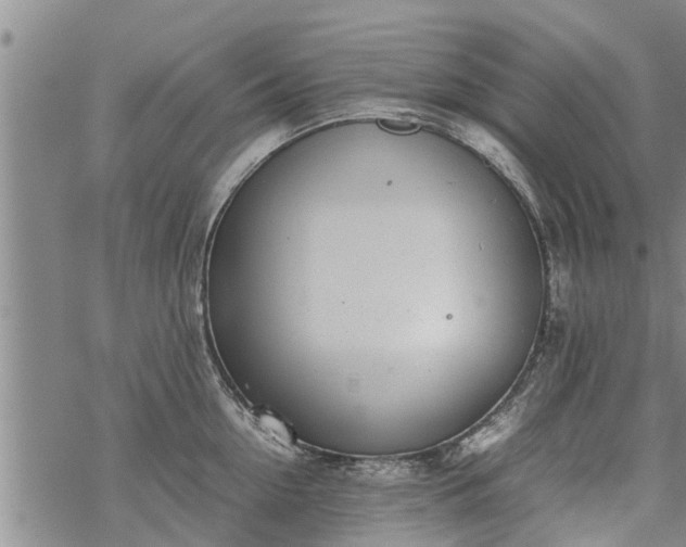 X0000069390954200605192210