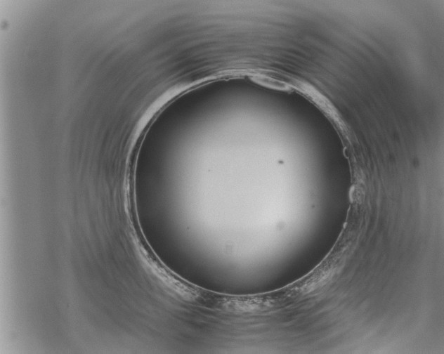 X0000069390955200605192210