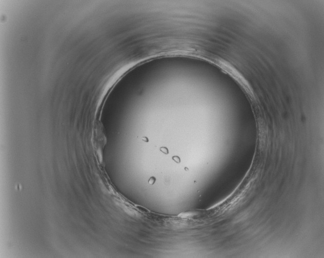 X0000069390956200605192210