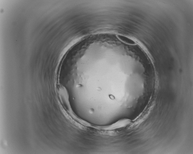 X0000069390957200605192210