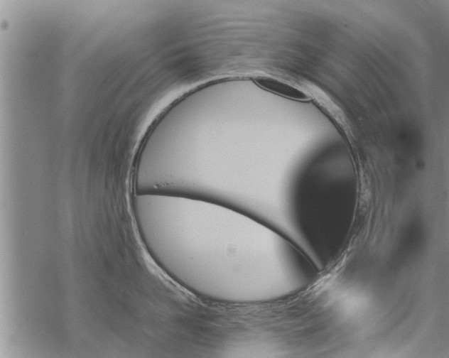 X0000069390958200605192210