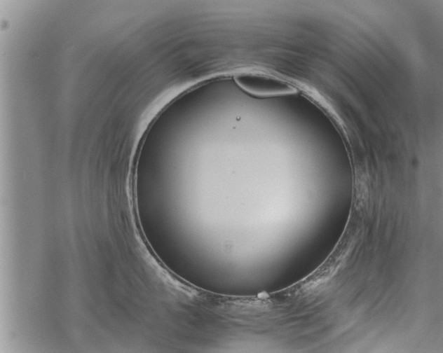 X0000069390959200605192211