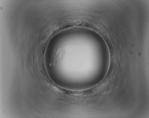 X0000069390961200605192210