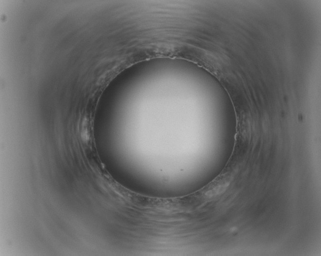 X0000069390962200605192210