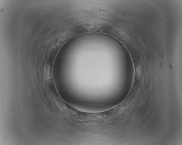 X0000069390963200605192210