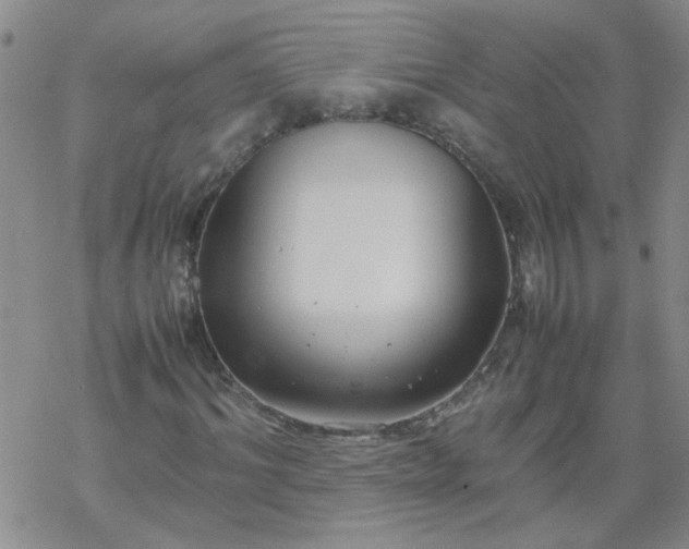 X0000069390964200605192210