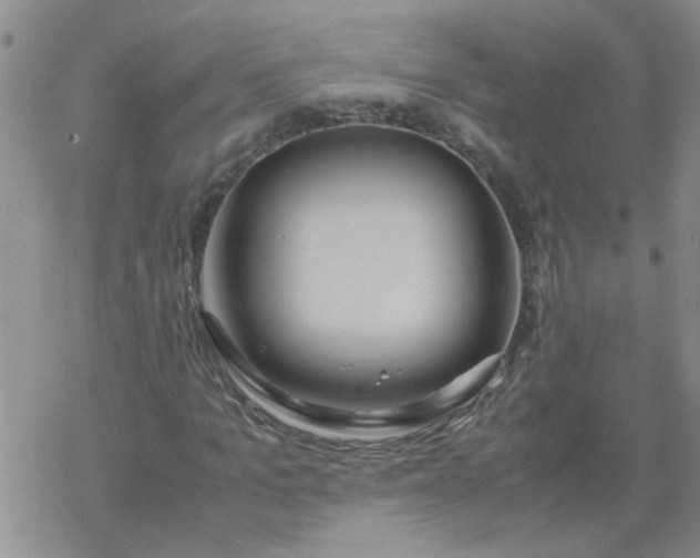 X0000069390965200605192210