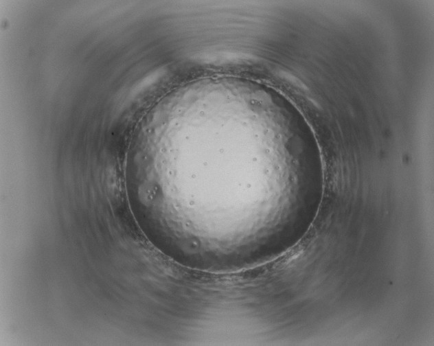 X0000069390966200605192210