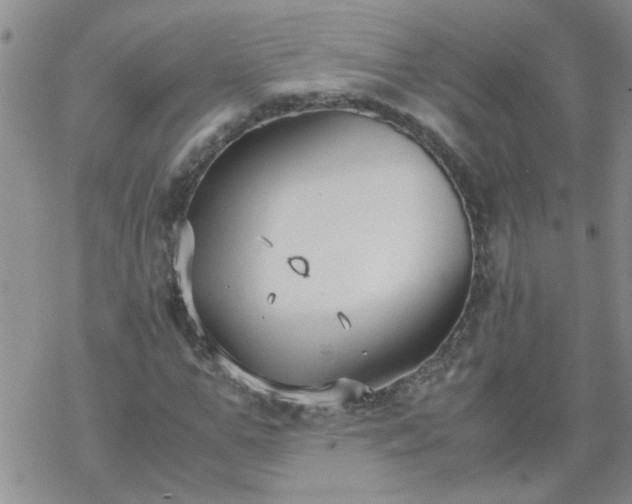 X0000069390967200605192210