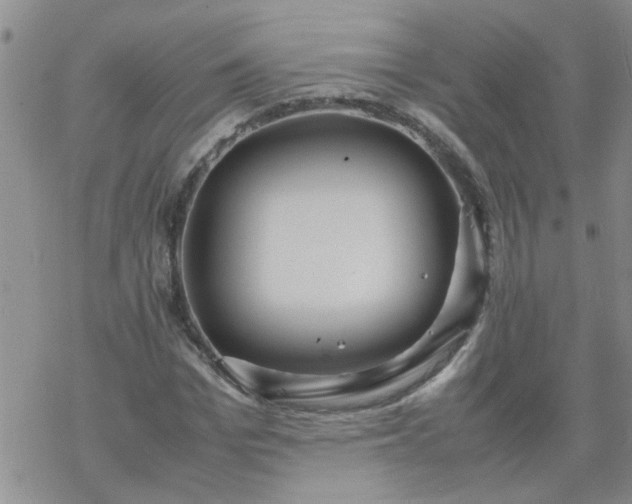 X0000069390969200605192210