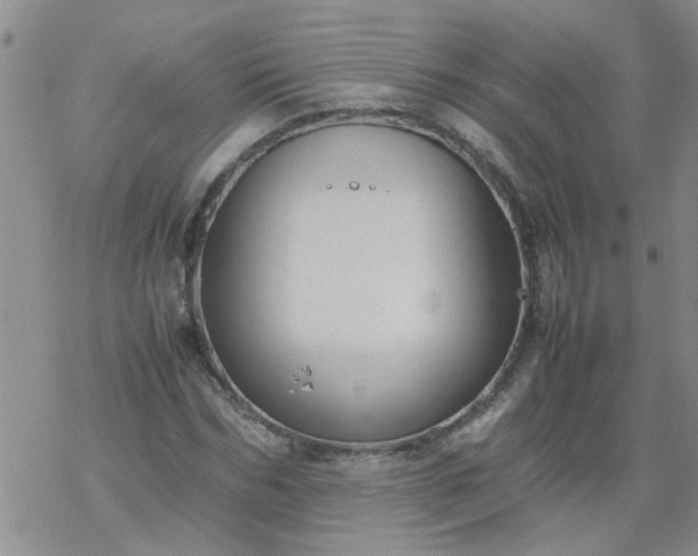 X0000069390970200605192210