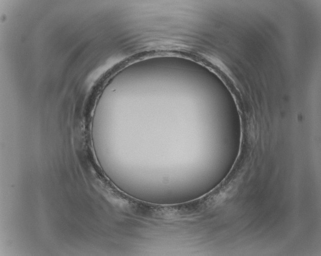 X0000069390971200605192210