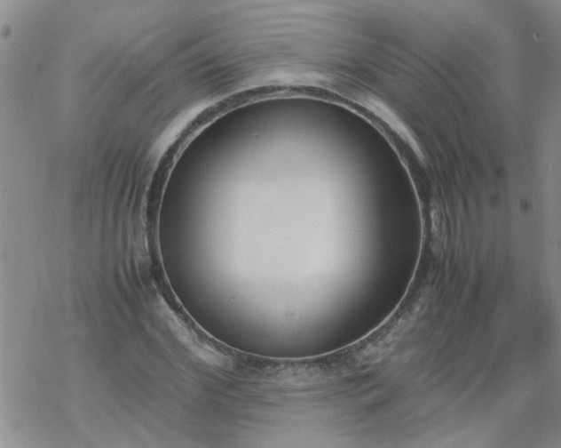 X0000069390972200605192210