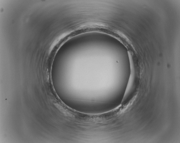 X0000069390973200605192210