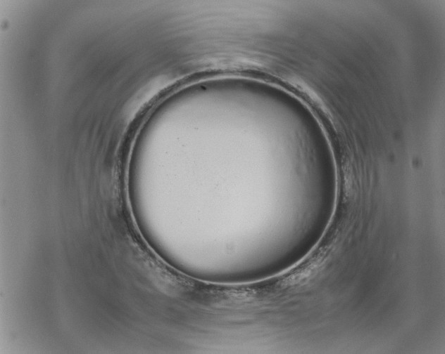 X0000069390975200605192210