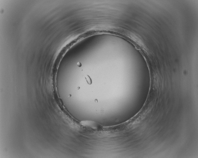 X0000069390976200605192209