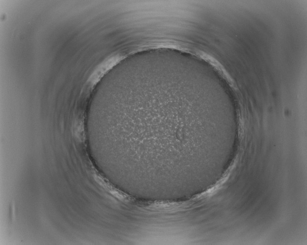 X0000069390977200605192209