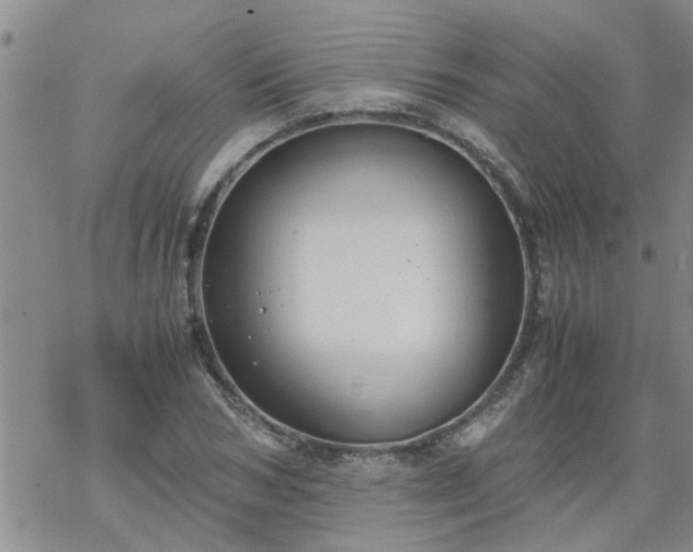 X0000069390978200605192209