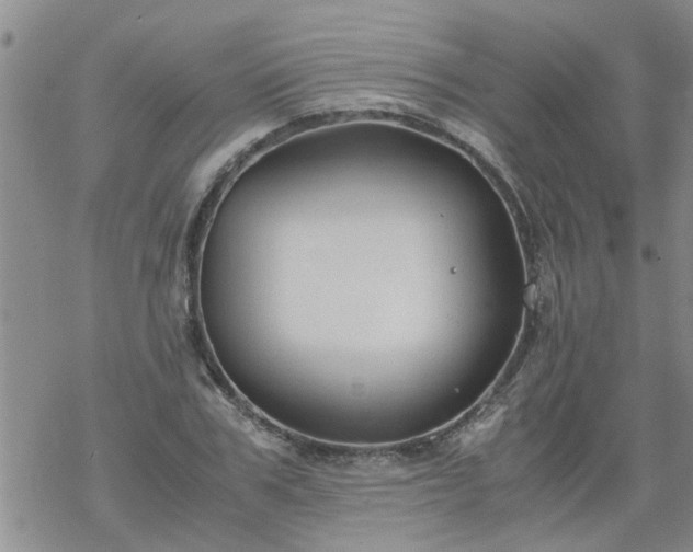 X0000069390979200605192209