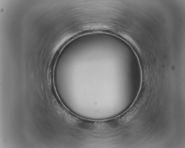 X0000069390983200605192209