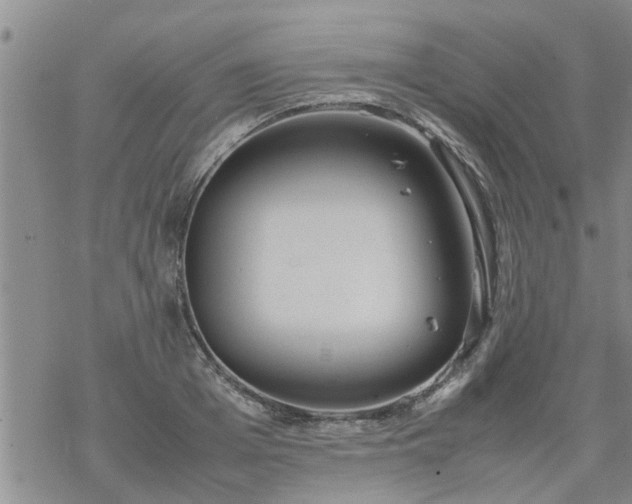 X0000069390985200605192209