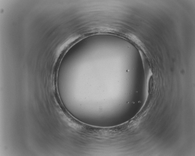 X0000069390987200605192209