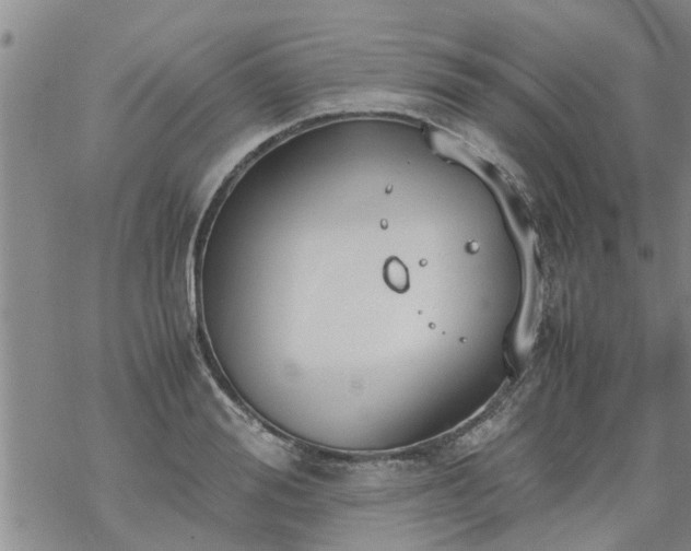 X0000069390988200605192209