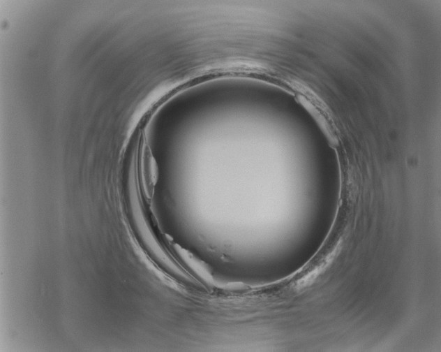 X0000069390989200605192209