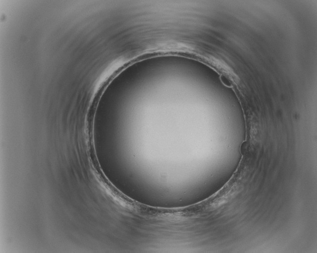 X0000069390990200605192209